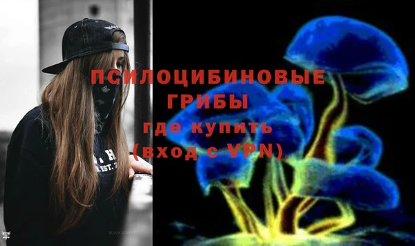 a pvp Арсеньев
