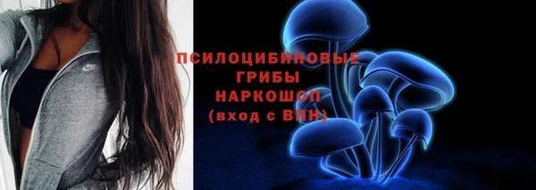 a pvp Арсеньев
