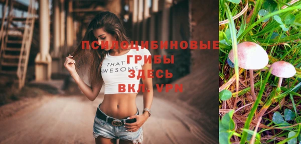 a pvp Арсеньев