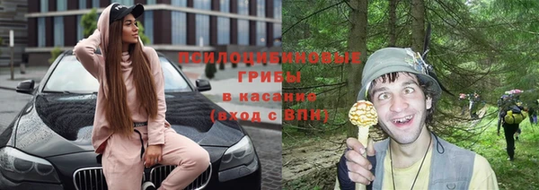 a pvp Арсеньев