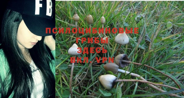 a pvp Арсеньев