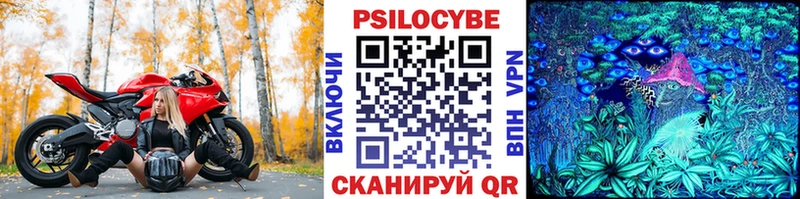 наркошоп  Чудово  Псилоцибиновые грибы прущие грибы 